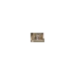 Lave linge hublot MIELE WCA 132 WCS – Image 7