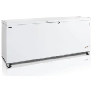 Congélateur pro TEFCOLD 16162