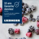 Congélateur armoire LIEBHERR FNe5207-22 – Image 5