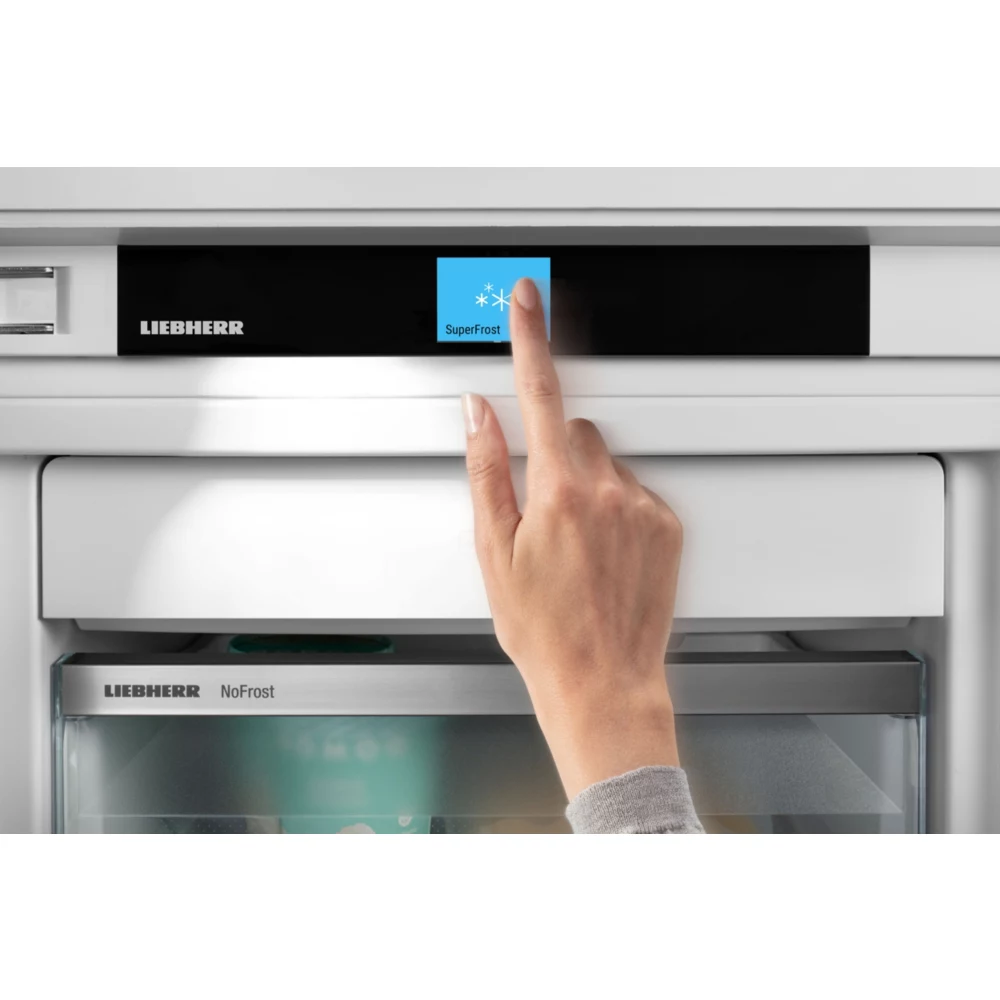 ๐๐จ๐ง๐ ๐ฬ๐ฅ๐๐ญ๐๐ฎ๐ซ ๐๐ง๐๐๐ฌ๐ญ๐ซ๐๐๐ฅ๐ ๐๐๐๐๐๐๐๐ ๐๐๐
๐๐๐๐๐๐-๐๐ โ Image 7