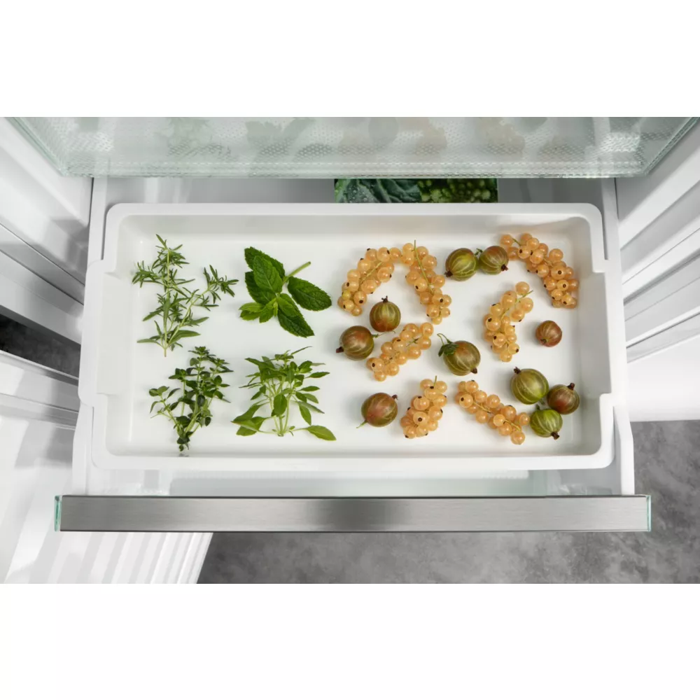 ๐๐จ๐ง๐ ๐ฬ๐ฅ๐๐ญ๐๐ฎ๐ซ ๐๐ง๐๐๐ฌ๐ญ๐ซ๐๐๐ฅ๐ ๐๐๐๐๐๐๐๐ ๐๐๐
๐๐๐๐๐๐-๐๐ โ Image 5