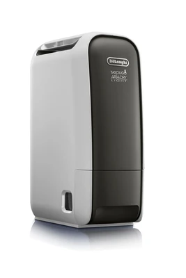 Déshumidificateur Delonghi DNS 65